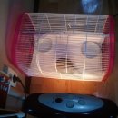 분당에덴동물병원 이미지