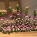 영신교회 이미지