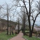 원적산공원 이미지