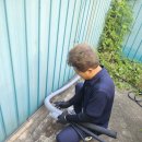 가정지천 이미지