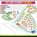 경북 문경 수예리 오토캠핑장 수영장 B 15 사이트 정보, 테슬라 차박 후기