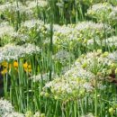 양양낙산사 의상대와 홍련암 이미지