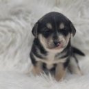 신원4리 이미지