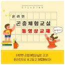 여주-0077 | 온라인 곤충체험교실 동영상교재