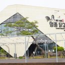 교동닭갈비 이미지