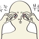 서해당구장 이미지