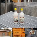 안심산 둘레길 | 여수 섬여행 가볼만한곳 백야도선착장 개도 배편 2026여수세계섬박람회