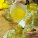 녹색농심인삼마을 이미지