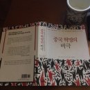 중국혁명의 비극 이미지