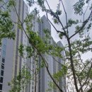 원주칸타빌공인중개사사무소 이미지