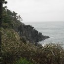 (4월4일)제주올레 8코스(월평마을아왜낭목~약천사~대포포구~주상절리안내소~중문색달해변~대평포구) 2 이미지