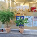 와룡문화커피 이미지