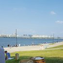 비둘기밧데리 이미지