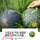 장포경로당 이미지