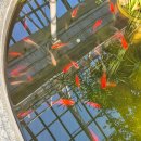 감나무집공할머니민박 | [11월 기록] 우리의 계절은 아직 그곳에 남아