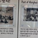 강화초등학교 이미지