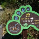 은성인삼