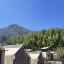 마글램핑장 | 국내여행] 남해 벚꽃명소로 유명한 ’시선글램핑' 후기 | 남해여행, 남해 글램핑, 벚꽃명소, 글램핑장...