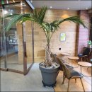 노은역 광장(동편) | 대전미용실 박준뷰티랩 대전노은점 에서 자신감업!!