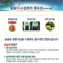 에이펙셀(주)