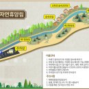금산 자연 오토캠핑장 이미지
