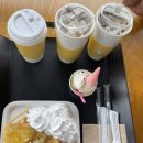 파루시아 이미지