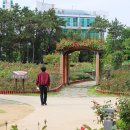 오월의여왕 이미지