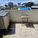 강정초등학교 이미지