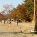 장터추어탕캠핑장 이미지