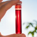 [정보] 피(혈액)를 맑게 하는 생활 요법 이미지