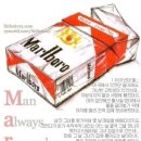 말보로 - 순천시 | 말보로