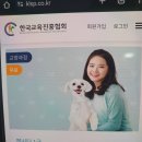 펫시터 자격증 과정 | 펫시터 자격증 1급 취득 후기