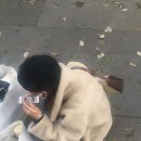 파인마켓 - 양평군 화서1로 227 | 파인마켓