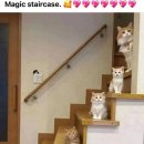 Magic staircase~~♡♡♡♡♡ 이미지