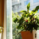 띵크(THINK) 이미지