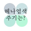 헤나킹울산