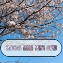 2019-03-0091 | 일본 미야자키 2026 벚꽃 개화시기 벚꽃 명소 추천 : 직접 가본 일본 벚꽃 명소 TOP 100