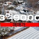 성심부동산중개인 이미지