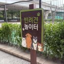 송내남부역(에스컬레이터 앞쪽) | 부천 송내 반려견 놀이터 강아지 무료 운동장 야외 후기