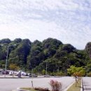 봉이막국수 이미지