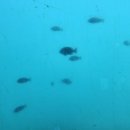 죽변비취모텔 이미지