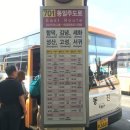 제주대학교 (종점방면) 이미지