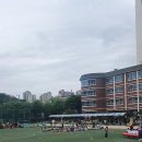 웅남초등학교 Daum카페