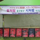 불갑사관광지 안내소 | 9월 꽃 축제는 전남 영광군 불갑산에서 펼쳐지는 상사화 축제로 오세요~ &#34;영광불갑산상사화축제&#34;