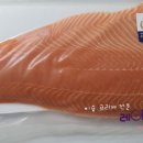 양지켄넬 이미지