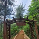 제534회😃산울림 산악회 정기산행 매월 1주 3주 목요일 산행갑니다 12월18일 셋째주 목요일 충북증평 좌구산 갑니다 회비3만원 이미지