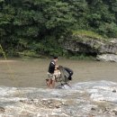 금낭화타운 이미지