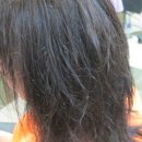 헤어펌펌 이미지