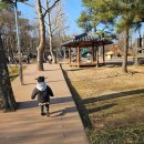 장미어린이공원 | 서울 용산가족공원 아기랑 주차 흙놀이터 주말 나들이 후기