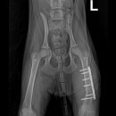 천안24시스카이동물메디컬센터 이미지